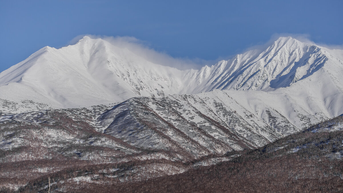 ... - Жора Житников