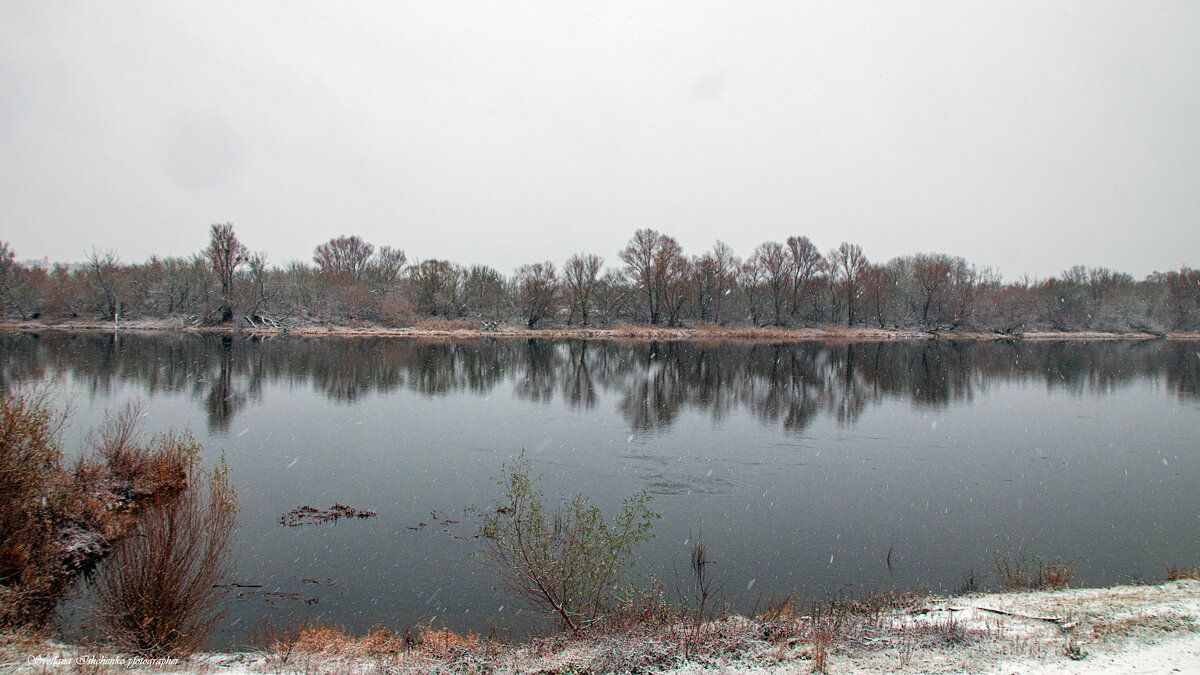 ... - Светлана Ищенко