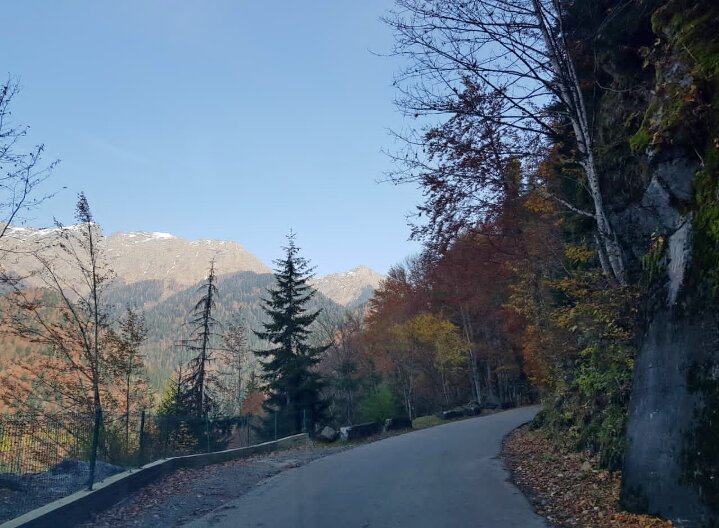 АБХАЗИЯ - Tata Wolf