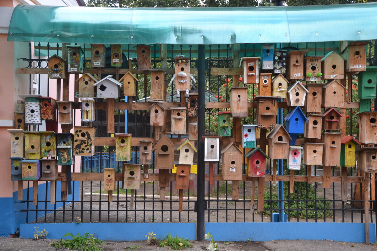 Выставка детских работ. Саранс - Надежда 