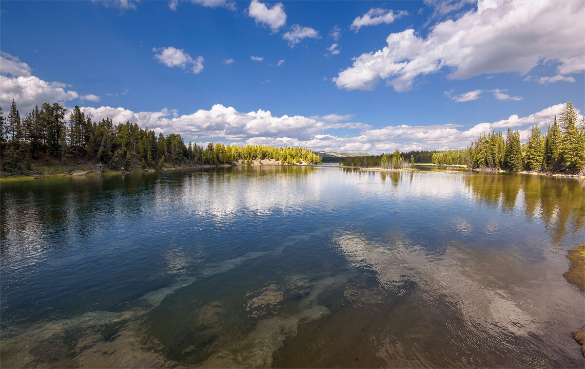 река Йеллоустоун - **** vedin