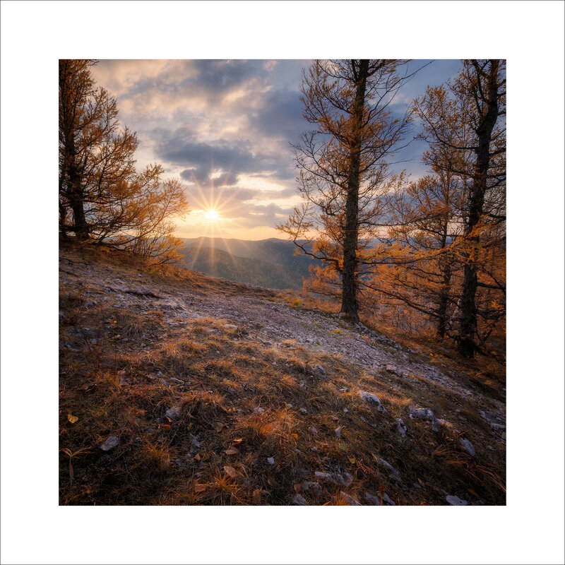 * - Александр Иванов