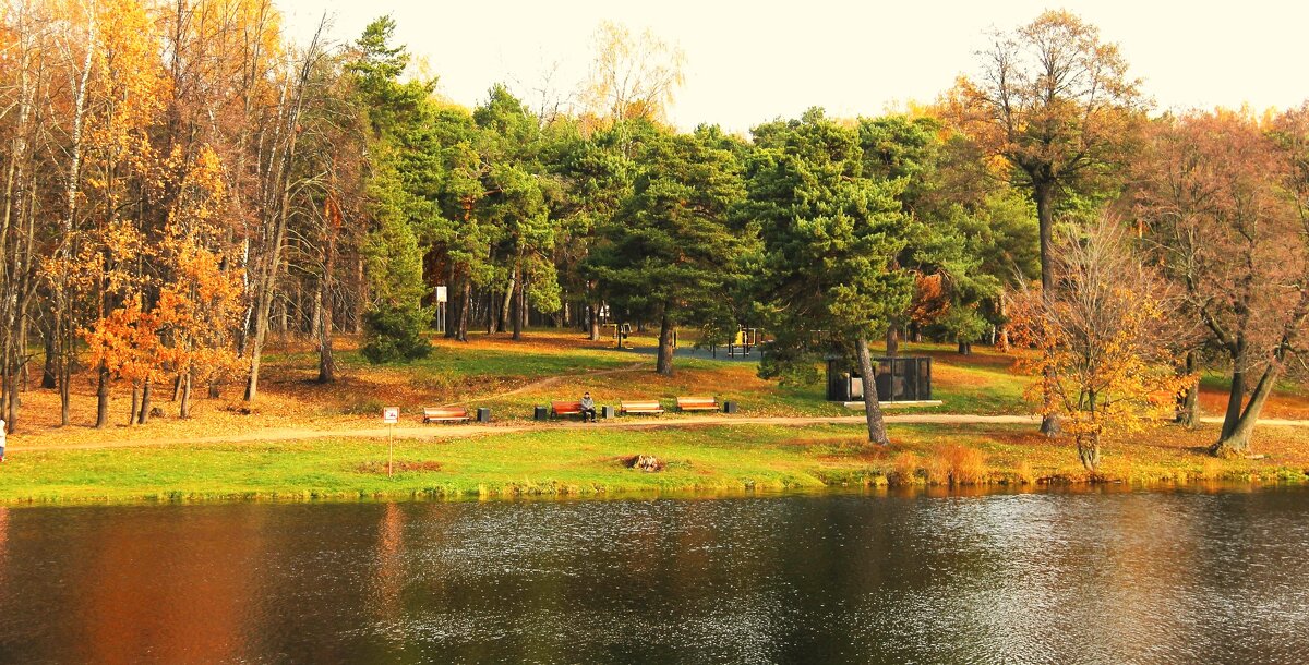 ОСЕНЬ НА ШИБАЕВСКОМ ПРУДУ - Валентина ОСЕНЬ НА ШИБАЕВСКОМ ПРУДУ - Валентина