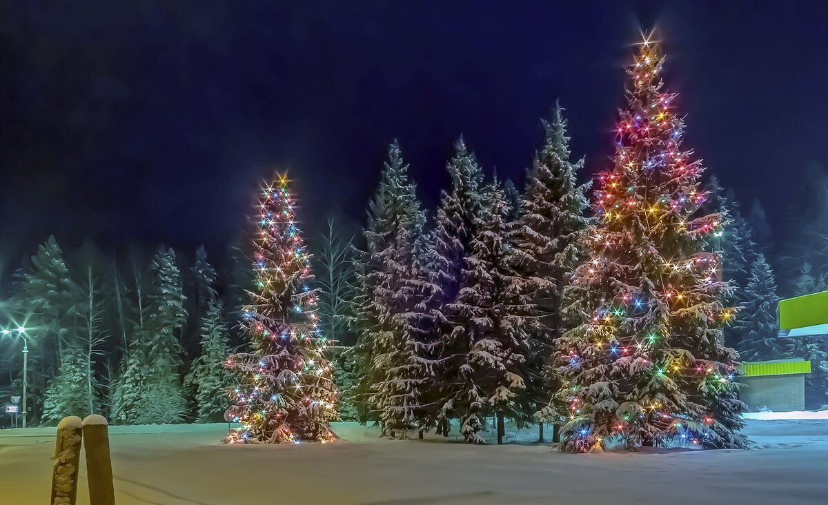 Скоро Новый Год - Валерий Иванович Скоро Новый Год - Валерий Иванович