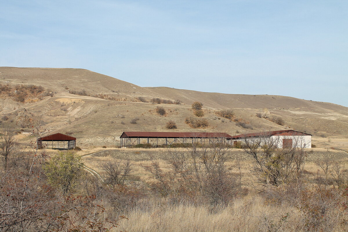 Зернохранилище,ток- 80-90ые годы - Ирина Зернохранилище,ток- 80-90ые годы - Ирина