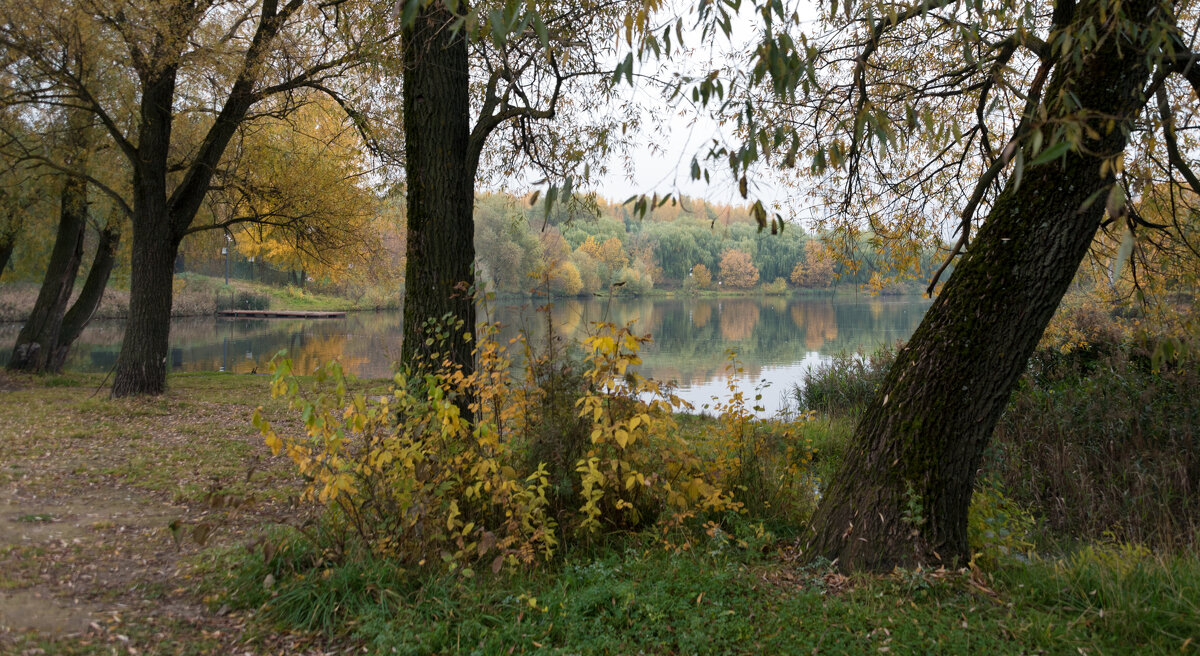 **** - Владимир Безбородов