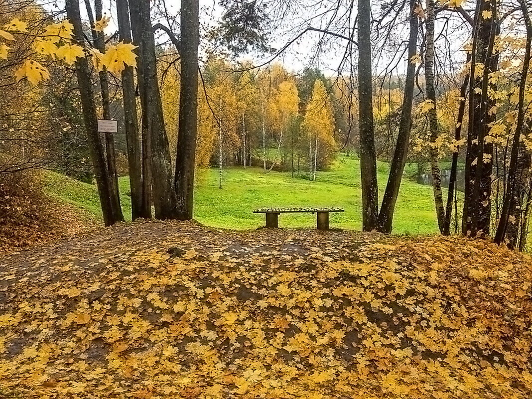Щёлыково» - музей-заповедник  А. Н. Островского - Ольга Довженко