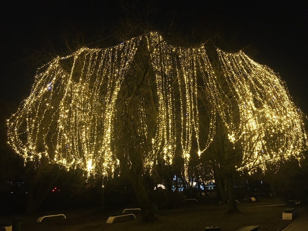 Великие Луки, декабрь 2025... - Владимир Павлов