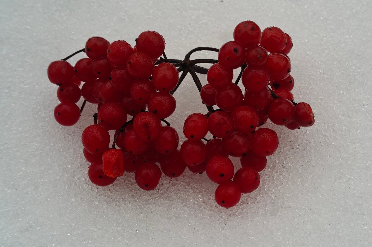 Великие Луки, декабрь 2025... - Владимир Павлов