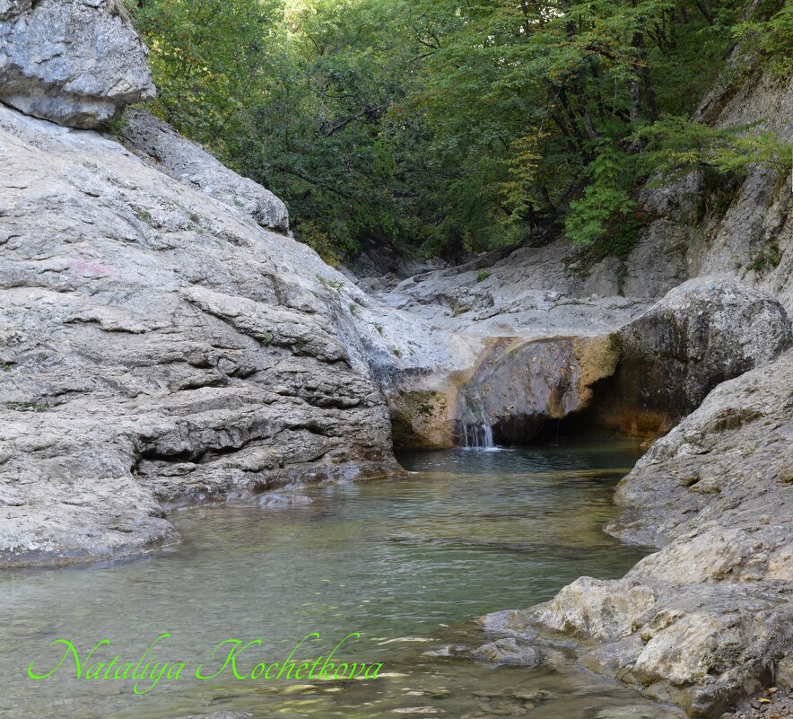 Природа Крыма - Amazing Cosmea