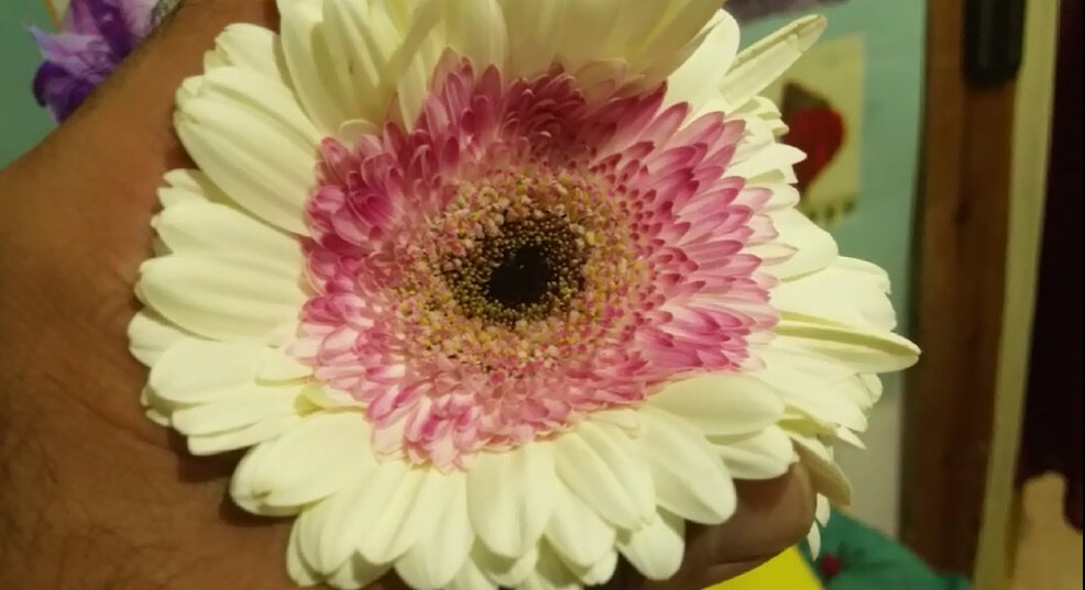 114 (195) - CLOSE WAYS ALL