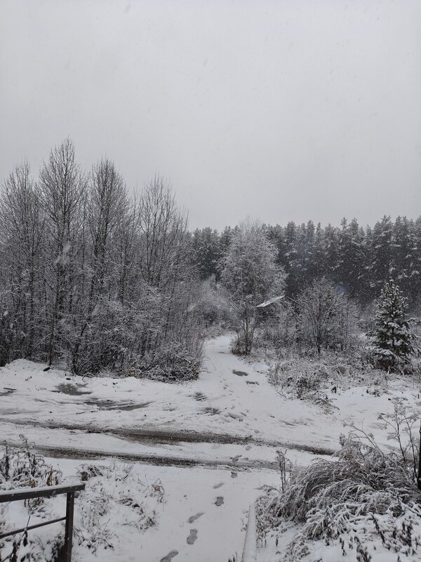 Первый снег - ura Зелев