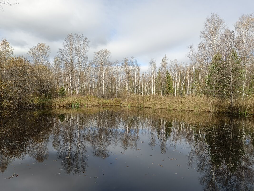 Октябрь - ura Зелев
