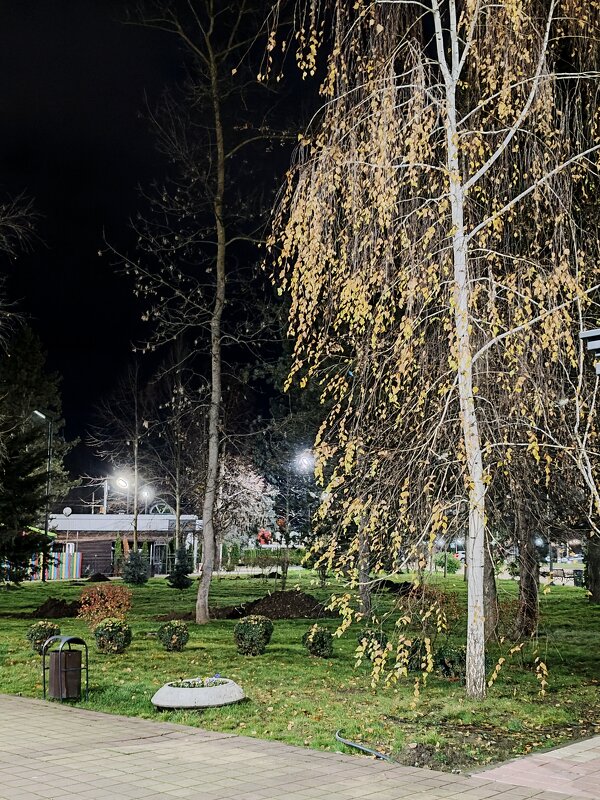 Осенний привет декабрю.... - tatyana Осенний привет декабрю.... - tatyana