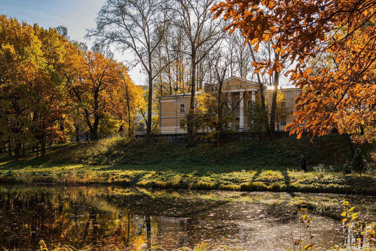 дача Минина - navalon M