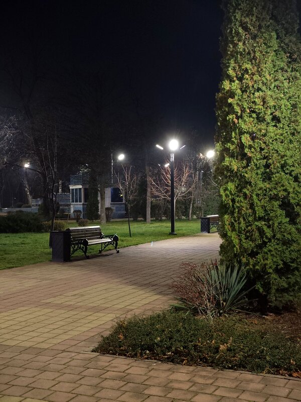 Аллеи парка... - tatyana 