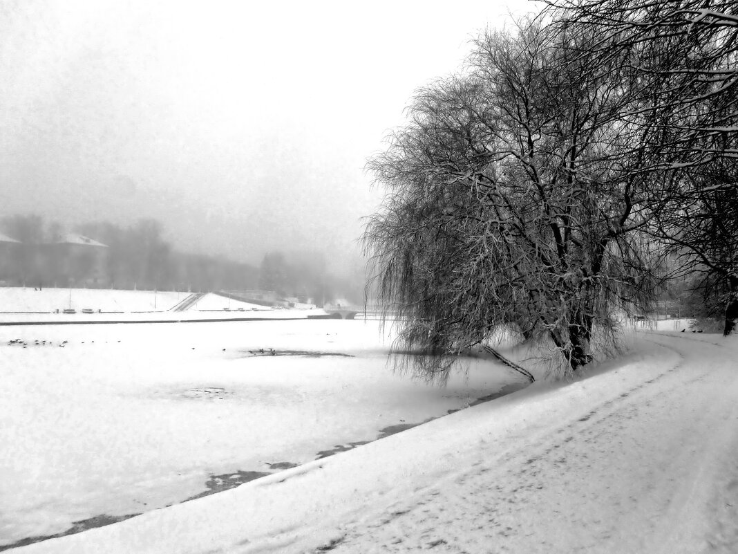 Вдоль берега пруда - Сергей Карачин