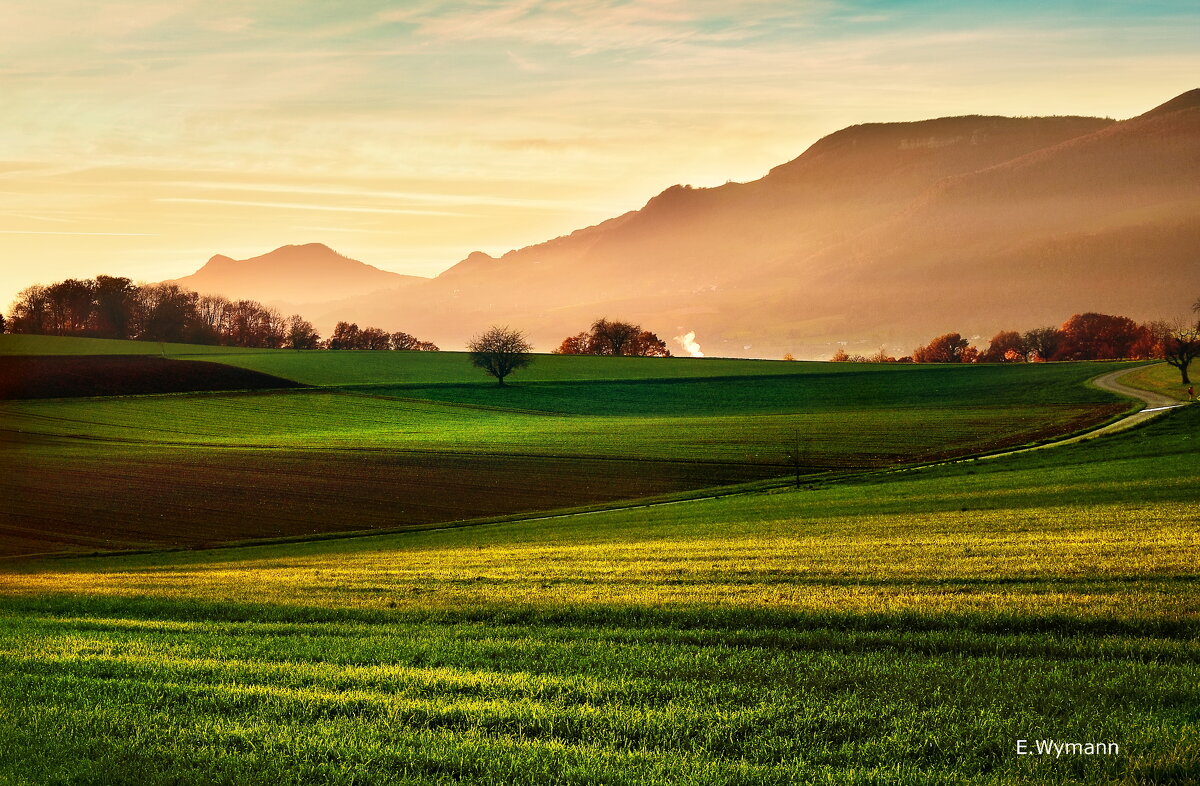 evening - Elena Wymann evening - Elena Wymann