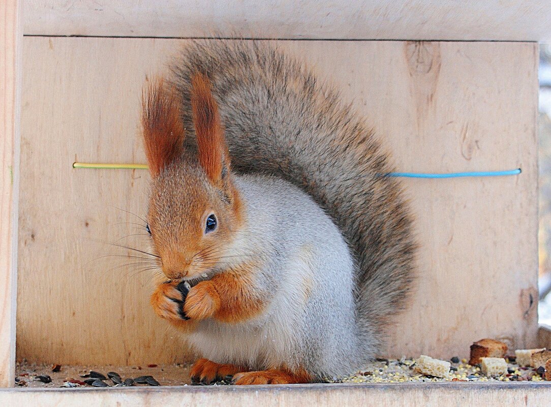 У меня обед! - Галина Нестратова