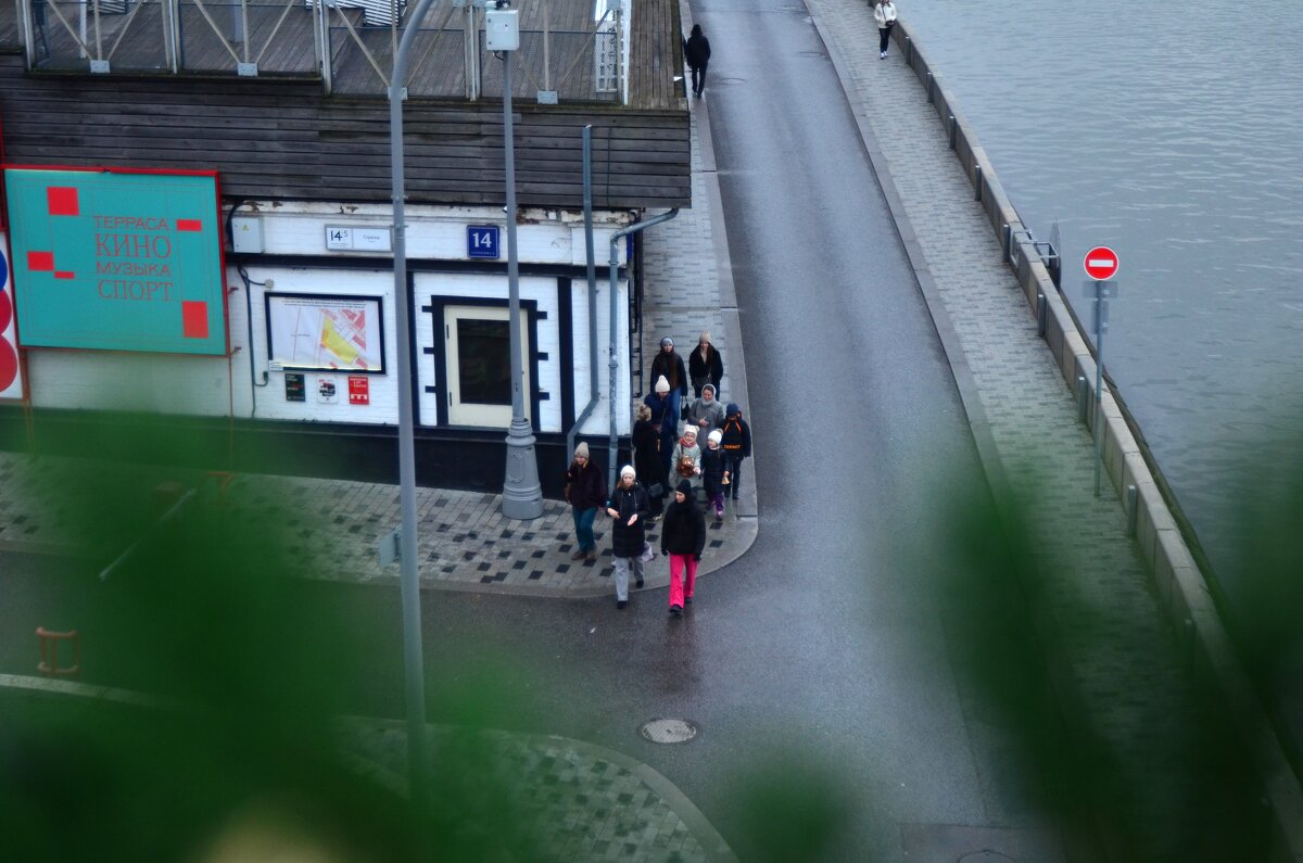 Компания. - Наталья Вязигина Компания. - Наталья Вязигина