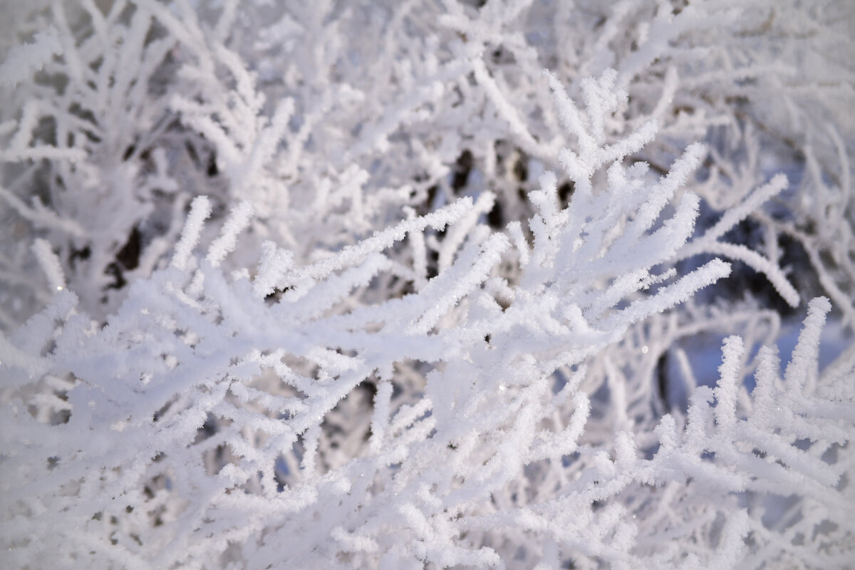 Сказка хрупкая - Grishkov S.M.