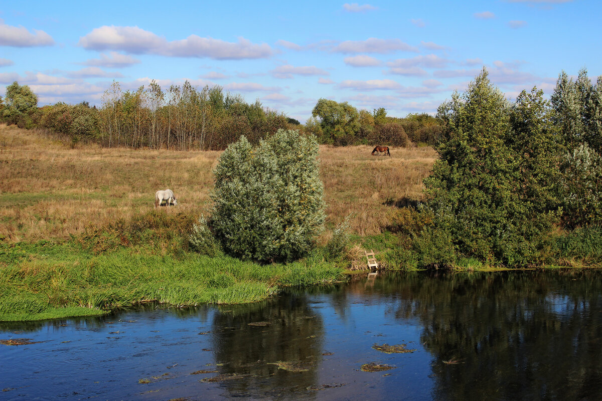 Дон. - Александр. AVG100 ---