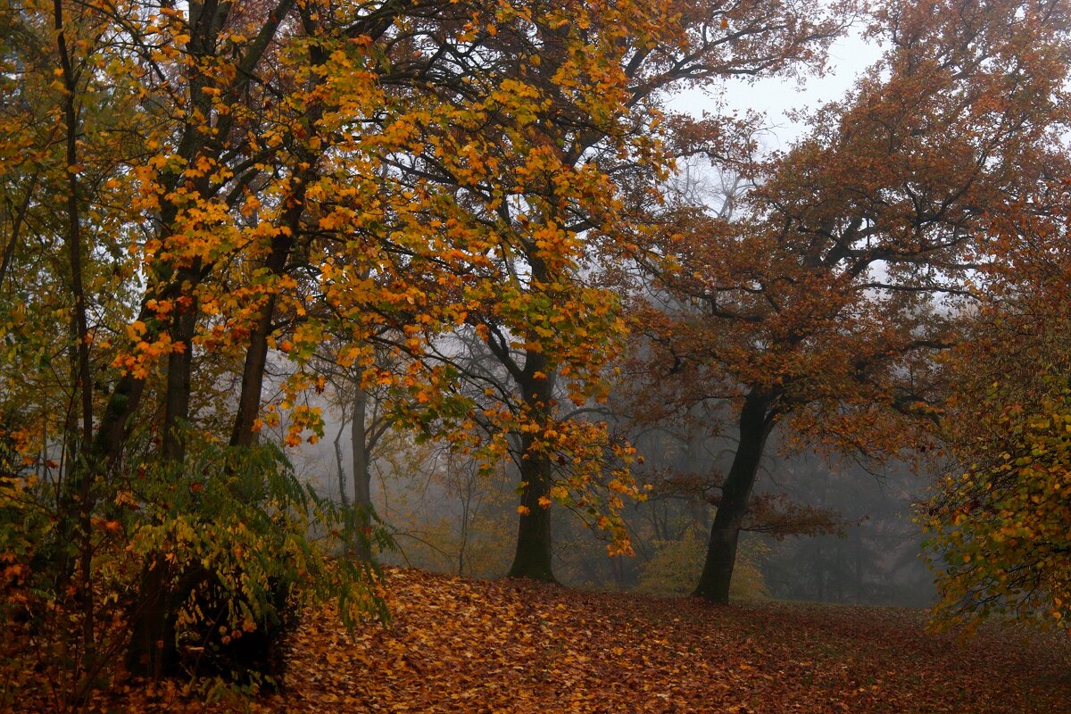 Хмурость осенних дней - Юрий. Шмаков
