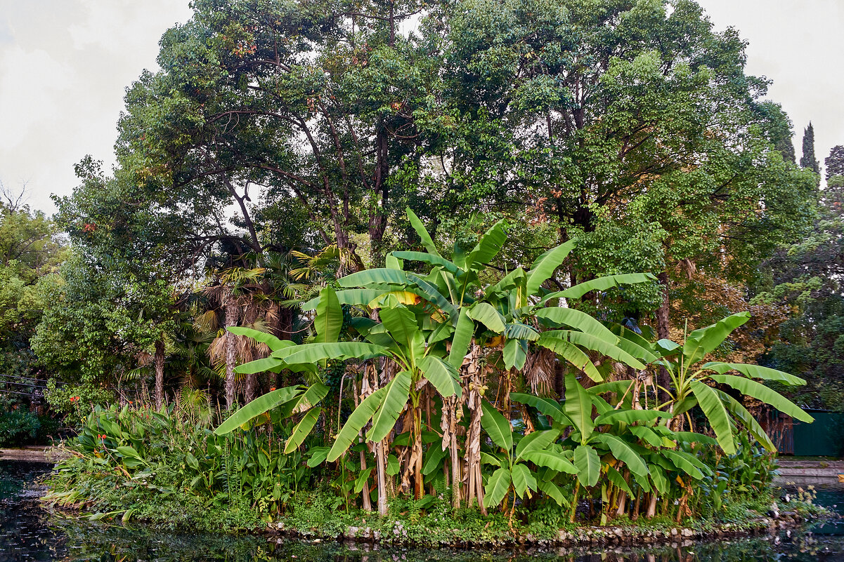 Парк Нового Афона - Александр Леонов