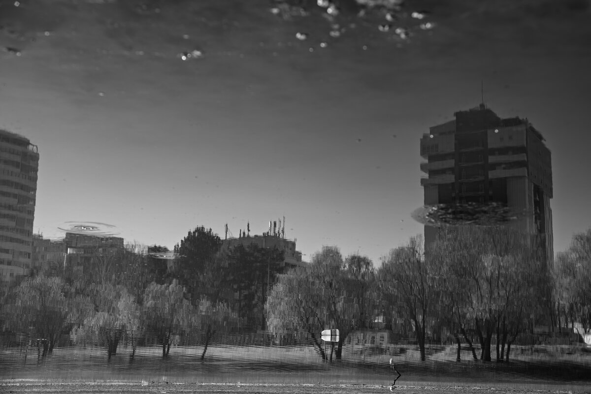 отражение - Ольга Косачова