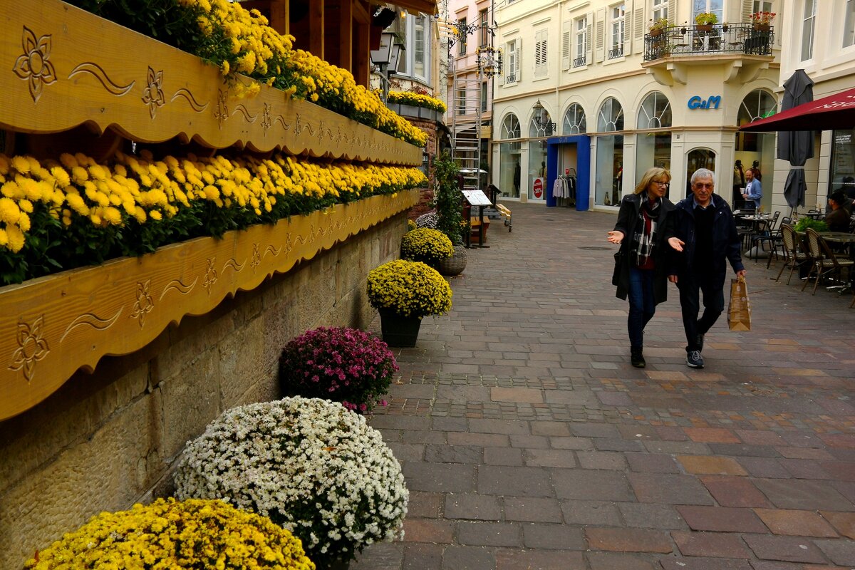 Прогулка - Юрий. Шмаков