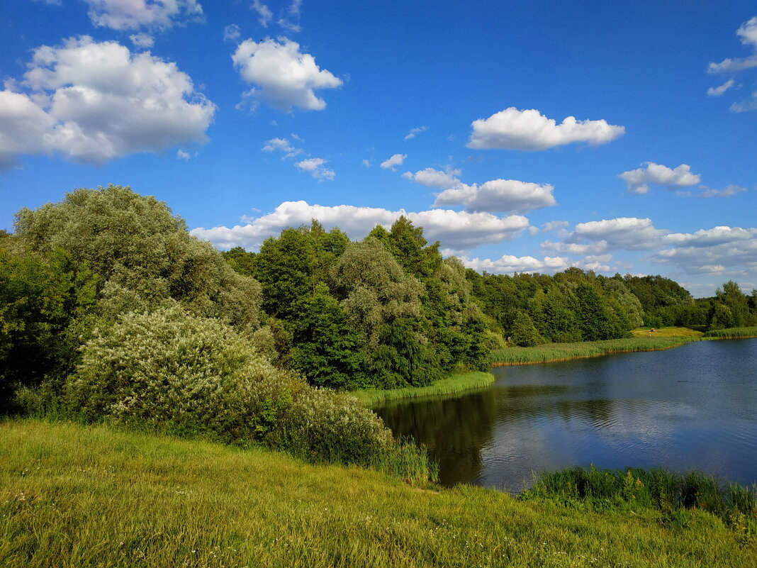 Самое время, чтобы вспоминать - Андрей Лукьянов Самое время, чтобы вспоминать - Андрей Лукьянов