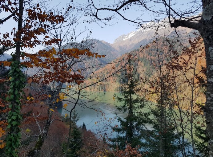 Абхазия - Tata Wolf