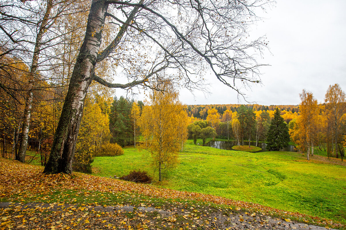 Щёлыково» - музей-заповедник  А. Н. Островского - Ольга Довженко