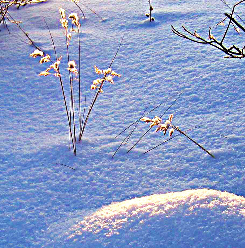 Январь...Снежно -морозная былина на лесной поляне! - Владимир Январь...Снежно -морозная былина на лесной поляне! - Владимир