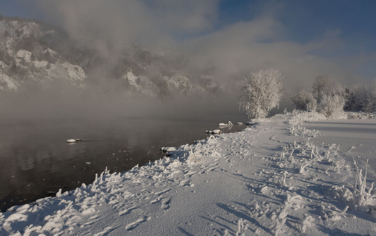 Зимний лебедь - Сергей Герасимов Зимний лебедь - Сергей Герасимов