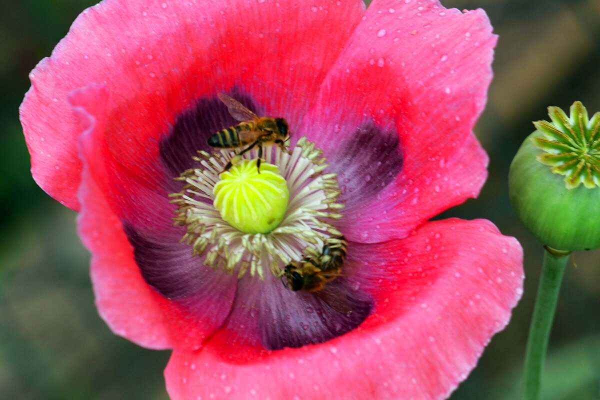 Доброе утро - Юрий. Шмаков