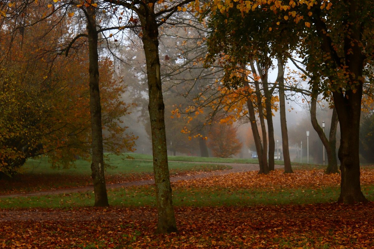 В осеннем парке тишина - Юрий. Шмаков В осеннем парке тишина - Юрий. Шмаков