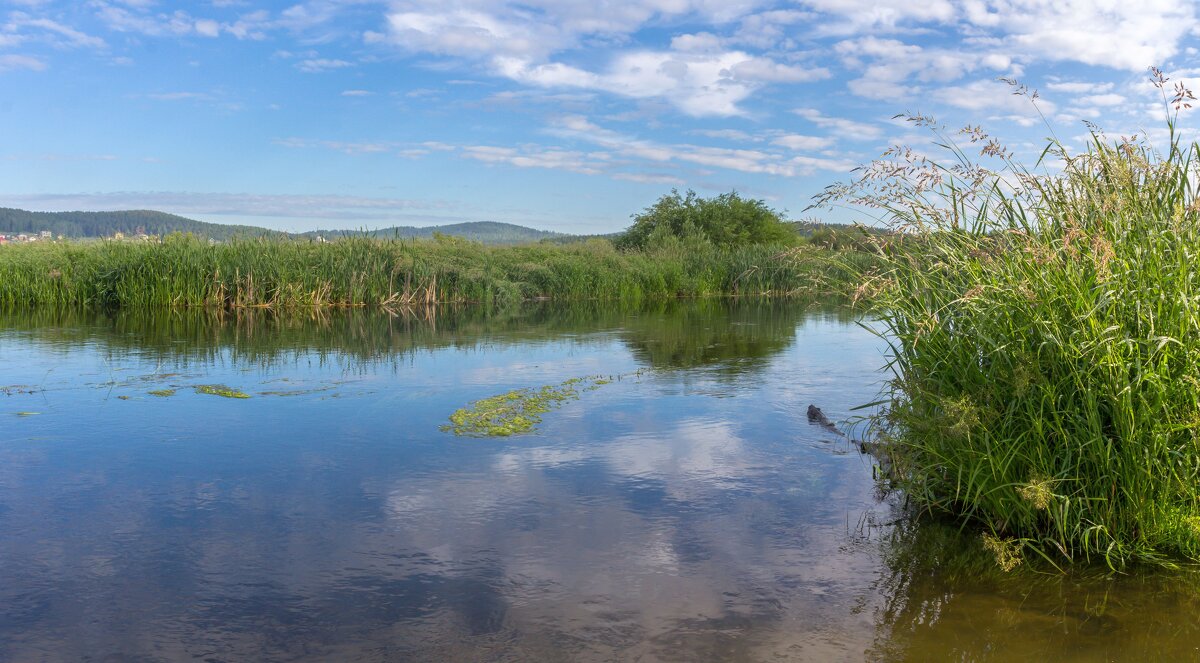 Летнее утро на реке Миасс. г. Миасс, Машгородок (панорама). - Алексей Трухин Летнее утро на реке Миасс. г. Миасс, Машгородок (панорама). - Алексей Трухин