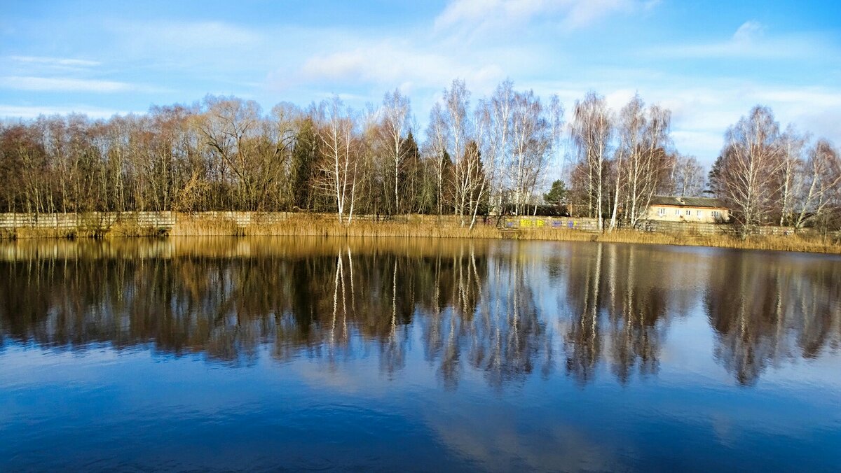 Зеркальное отражение в озёрной глади. - Милешкин Владимир Алексеевич Зеркальное отражение в озёрной глади. - Милешкин Владимир Алексеевич