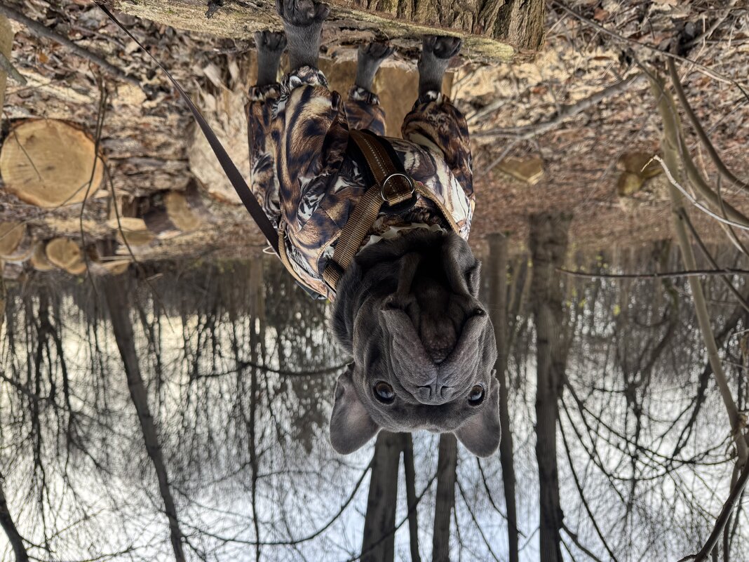 Приключения канадского лесоруба /часть 2/ - Анна Камс Приключения канадского лесоруба /часть 2/ - Анна Камс
