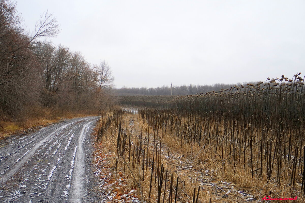 Только не сжато вообще ничего, грустную думу наводит оно... - Андрей Заломленков Только не сжато вообще ничего, грустную думу наводит оно... - Андрей Заломленков