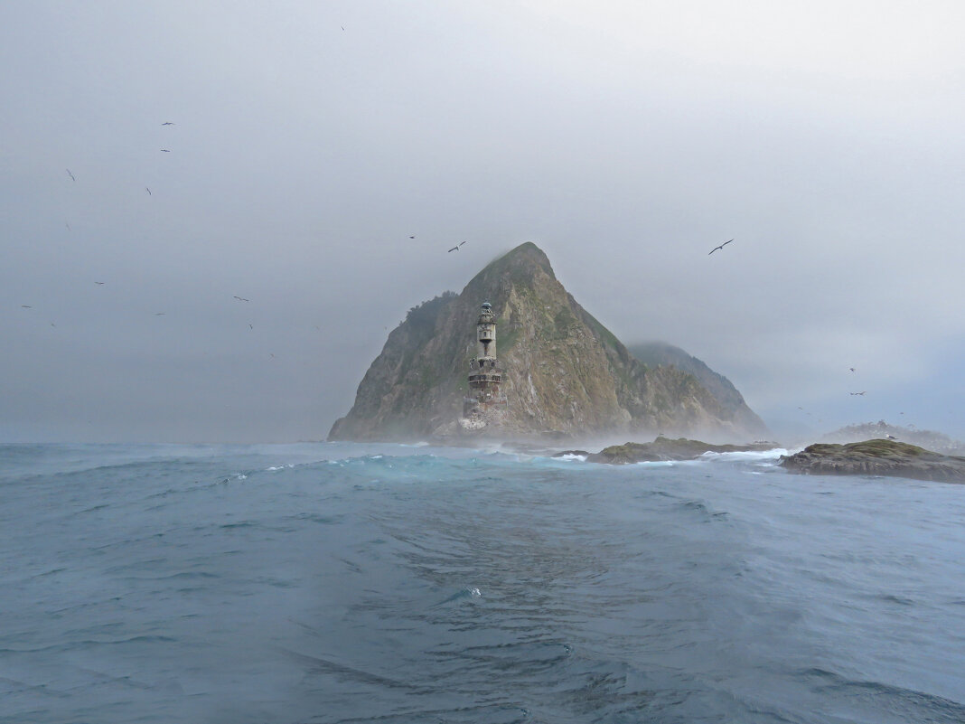 Из тумана вырастает... - ИРЭН@ . Из тумана вырастает... - ИРЭН@ .