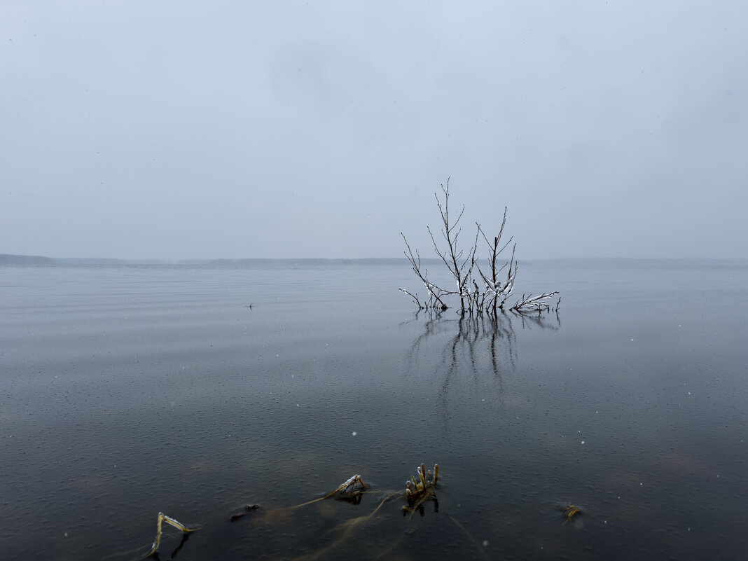 Отражение одиночества. - Сергей Адигамов