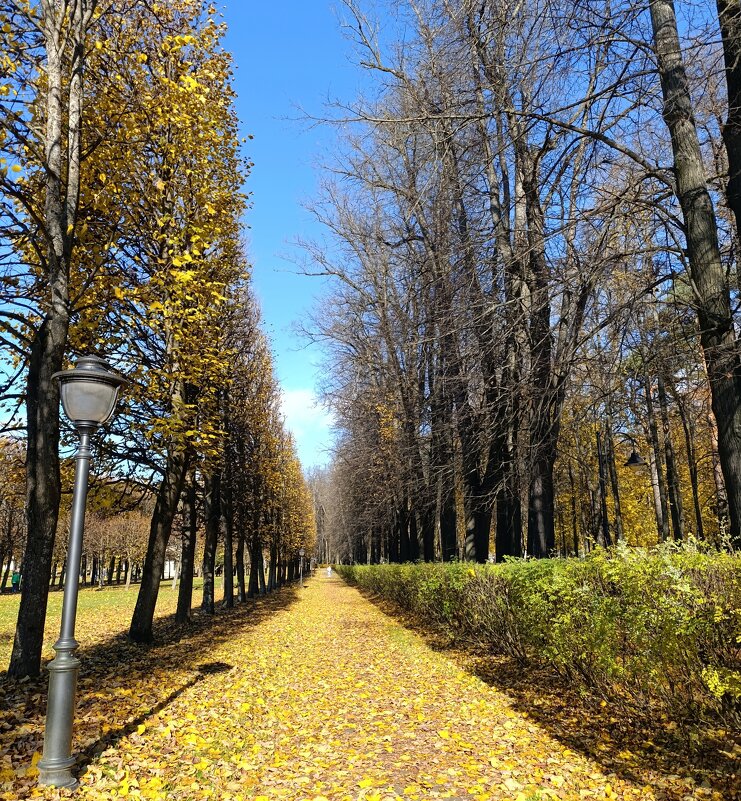 дни осенние - tatiana дни осенние - tatiana