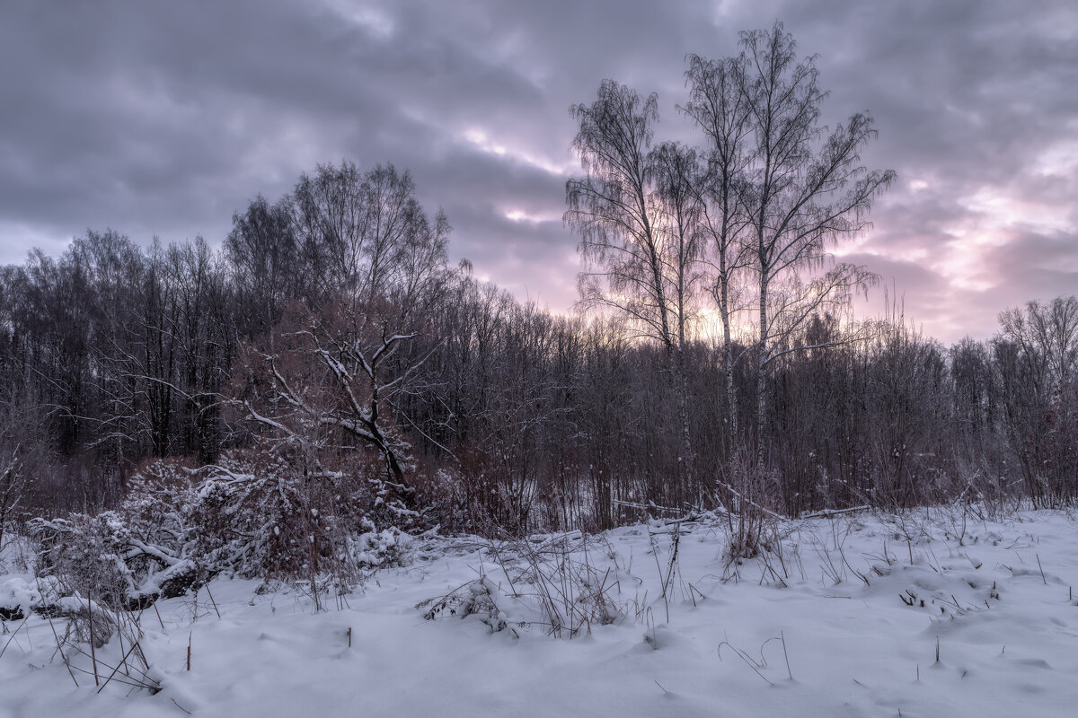 Про Питер. Зима. - Владимир Колесников