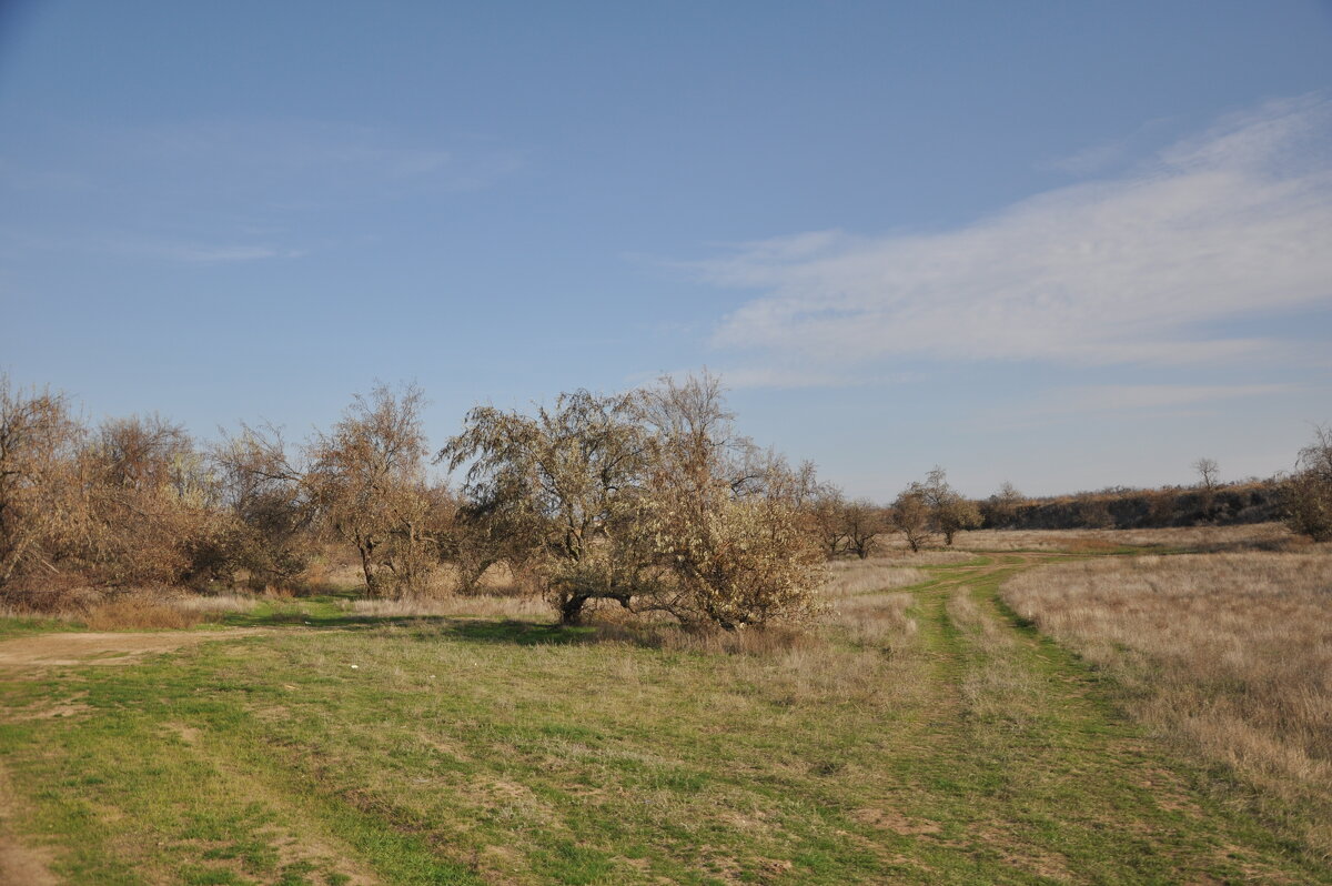 Мои дороги. - Виктор 