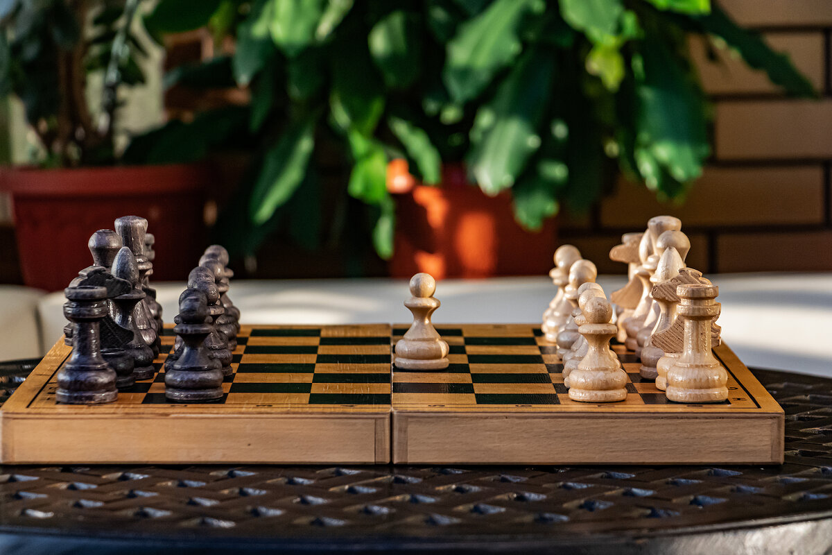 белые начинают и... - navalon M