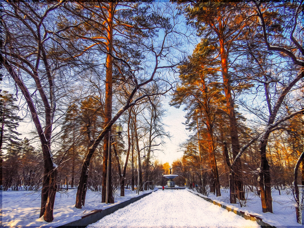 В зимнем парке тополя так грустны......... - Надежда Чернецкая В зимнем парке тополя так грустны......... - Надежда Чернецкая
