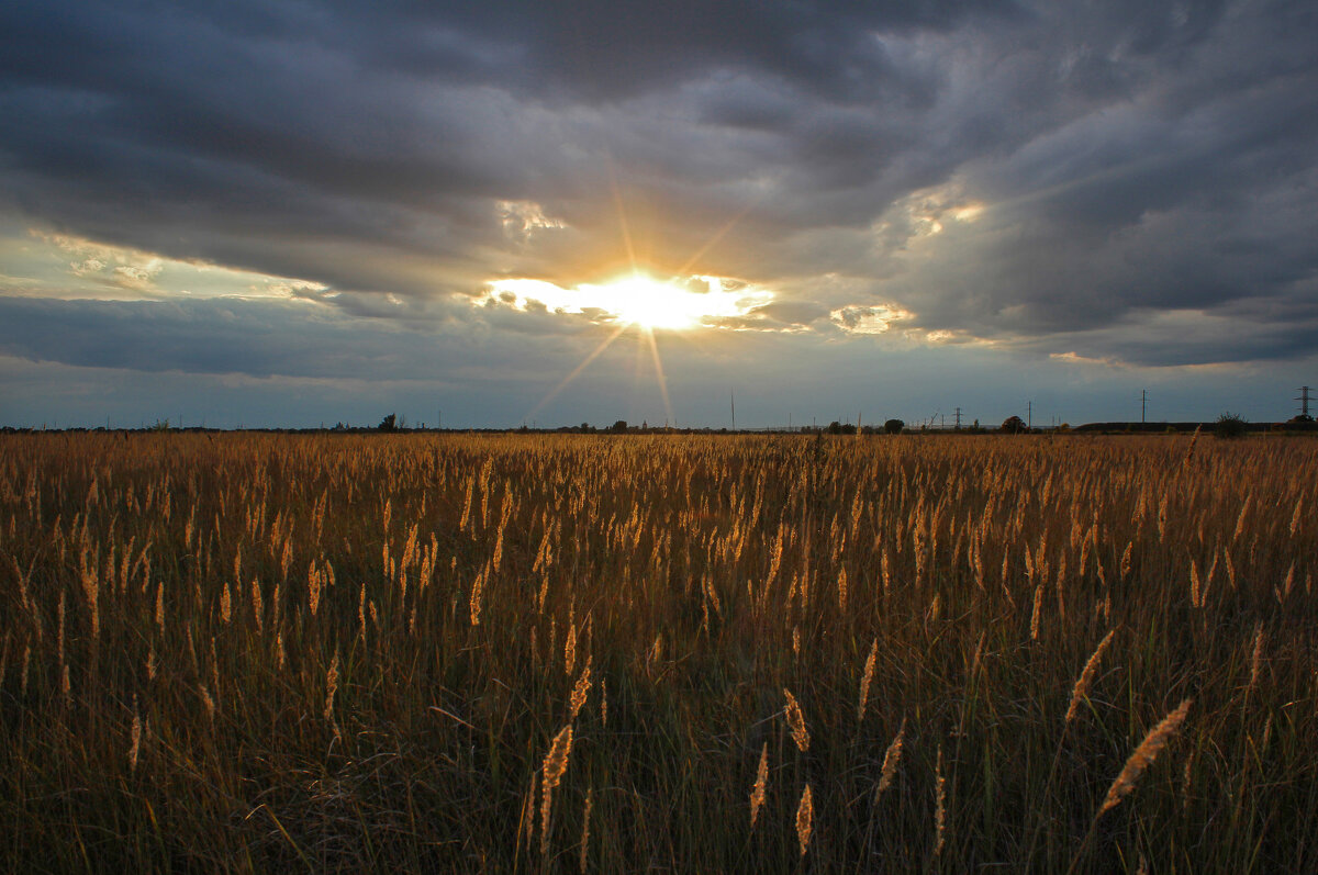 Закат. - Александр Закат. - Александр