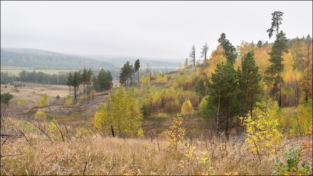 Осень - **** vedin